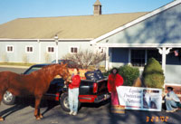 The EPN delivers a pick-up truck full of donated apples for the horses at Ryerss Farm For Aged Equines