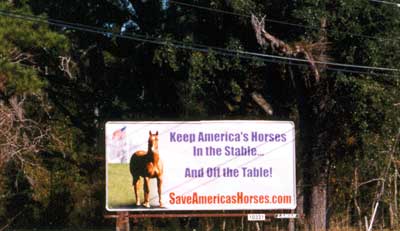 Billboard image in Florida on Highway 41